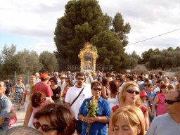 Mula Antigua serie-2